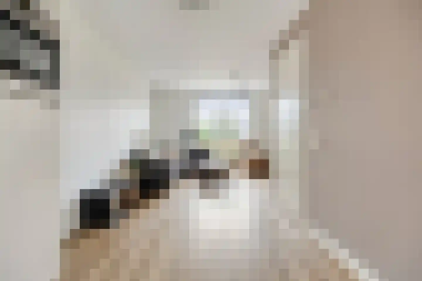 Mickershof 38 Gemert thumbnail 8