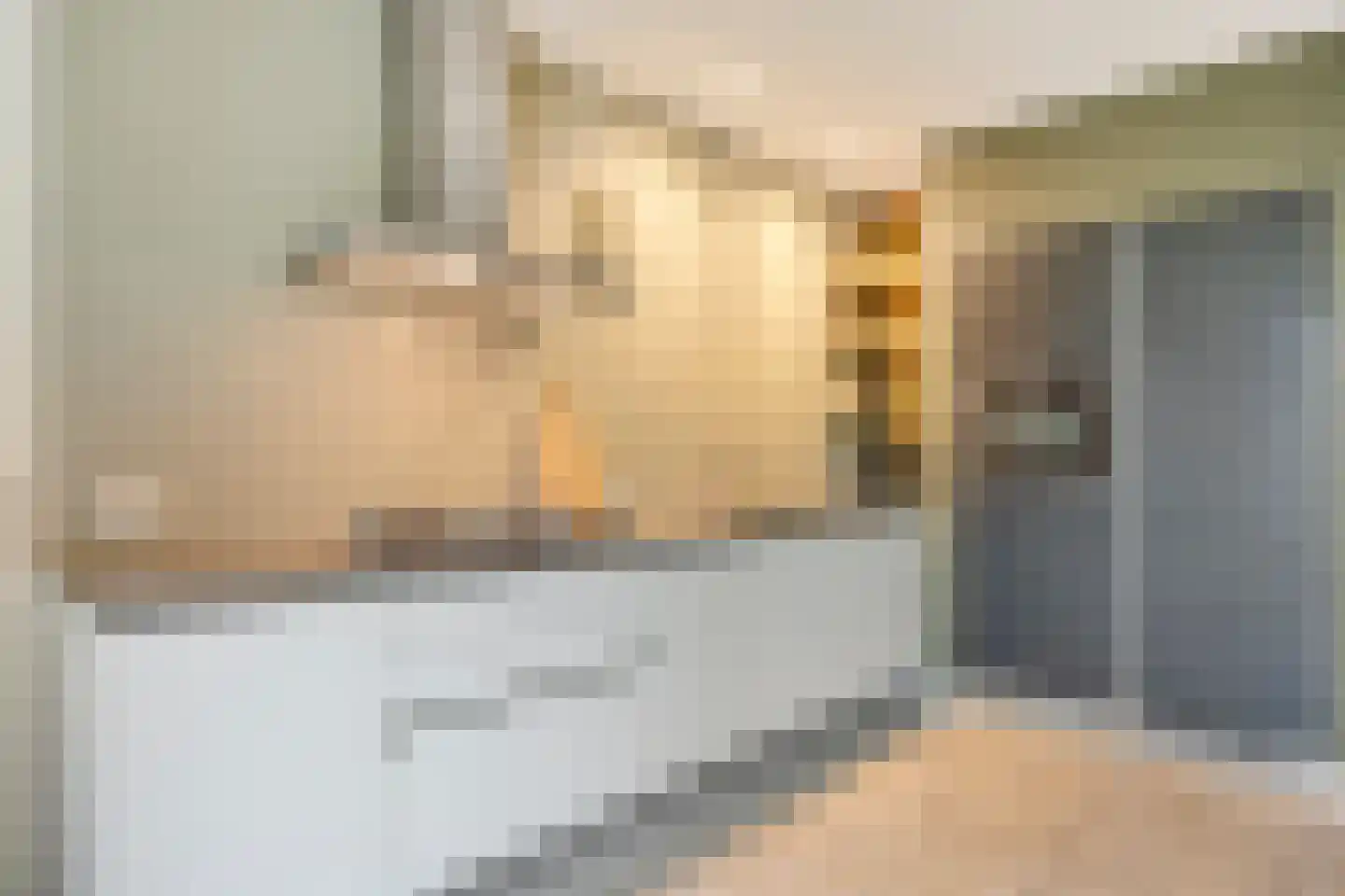 Mickershof 48 Gemert thumbnail 13