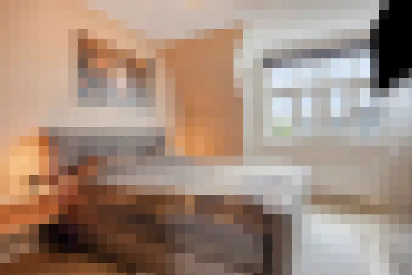 Mickershof 48 Gemert thumbnail 24