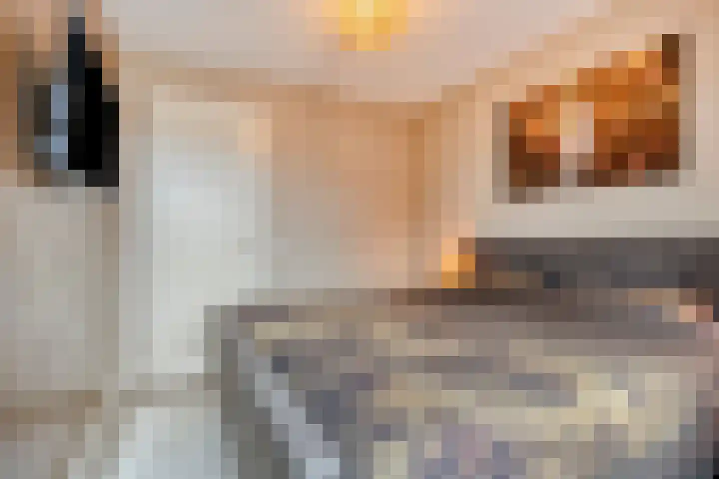 Mickershof 48 Gemert thumbnail 25