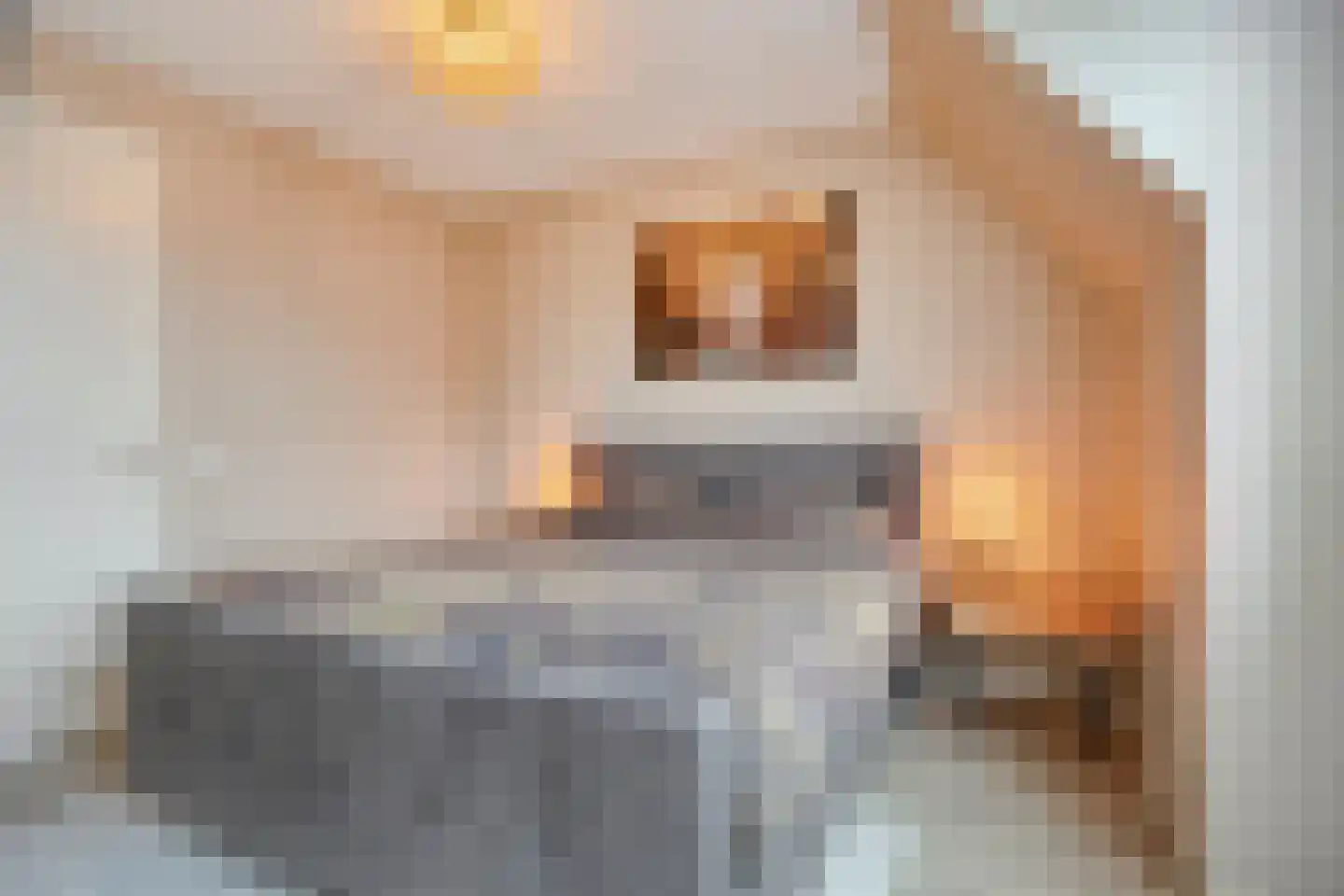 Mickershof 48 Gemert thumbnail 26
