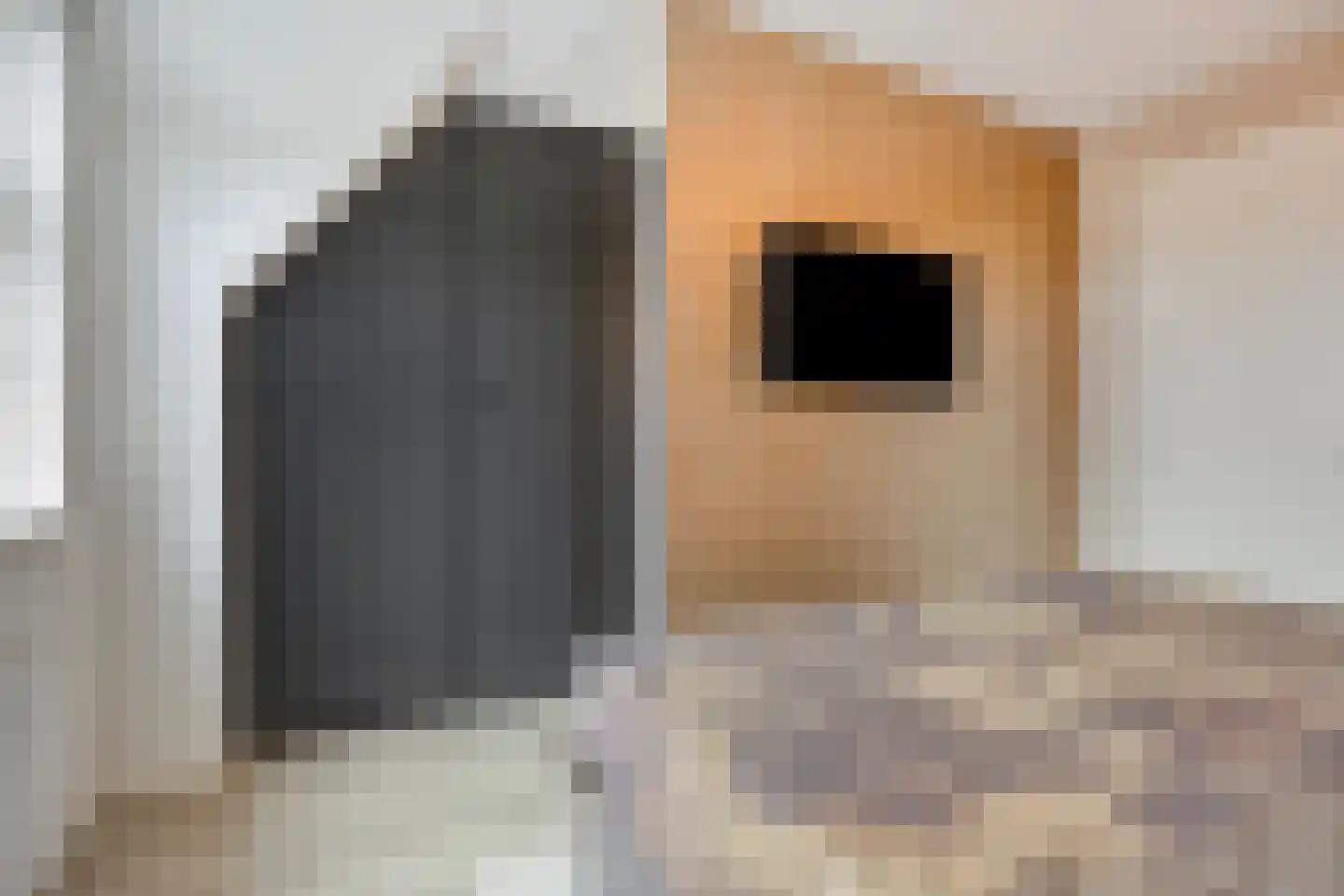 Mickershof 48 Gemert thumbnail 27