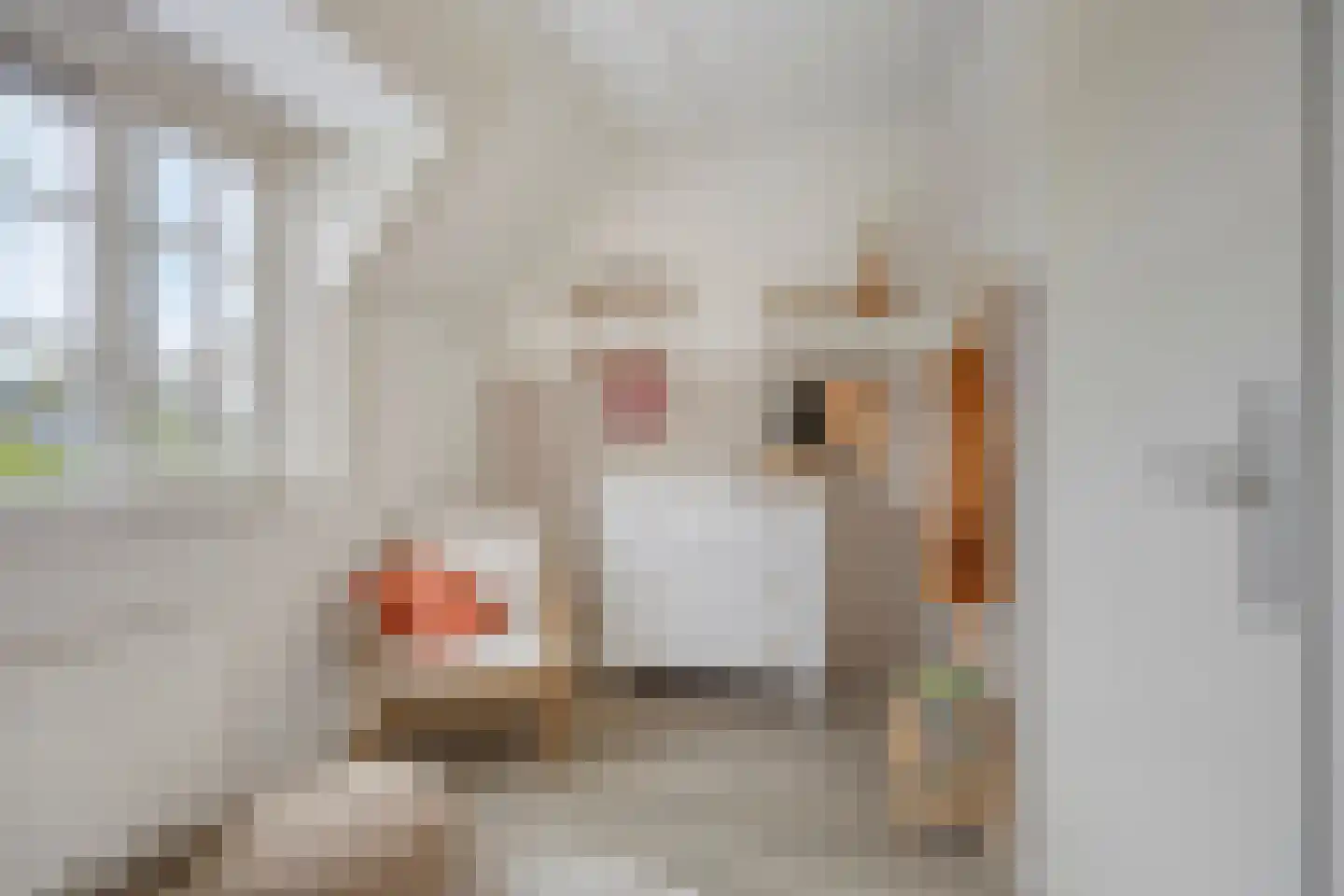 Mickershof 48 Gemert thumbnail 30