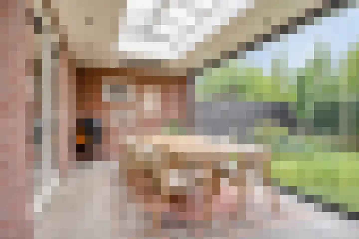 Mickershof 48 Gemert thumbnail 5