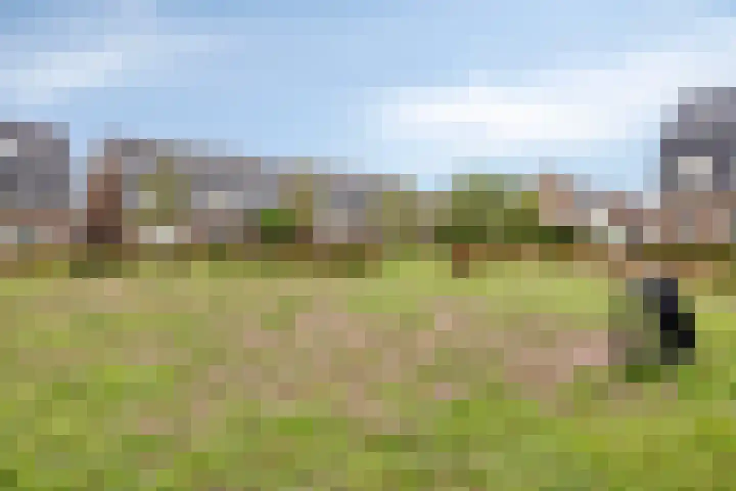 Mickershof 48 Gemert thumbnail 50