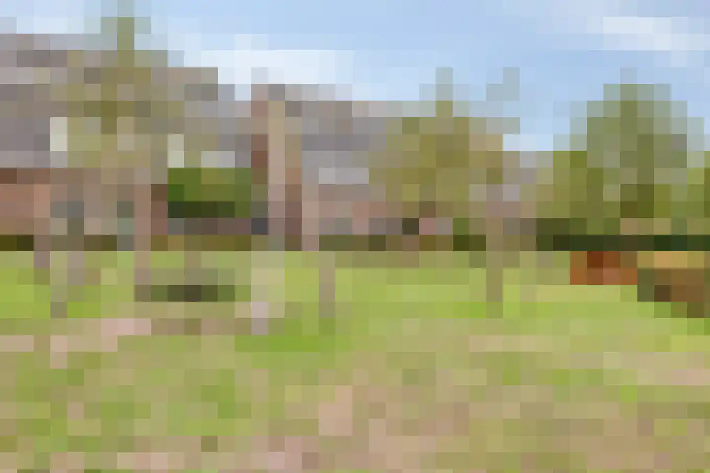 Mickershof 48 Gemert thumbnail 51