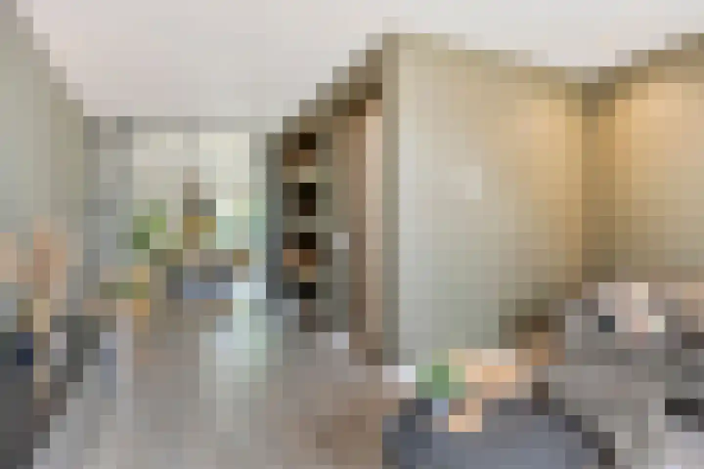 Mickershof 48 Gemert thumbnail 9