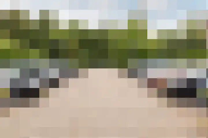 Mickey Mousestraat 75 Almere thumbnail 37