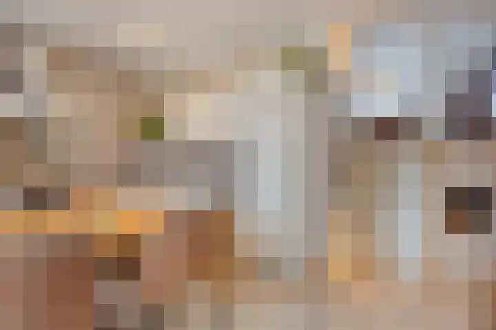 Midachten 15 Epe thumbnail 11