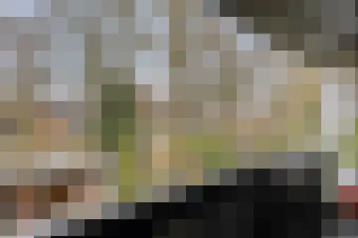 Midachten 15 Epe thumbnail 20