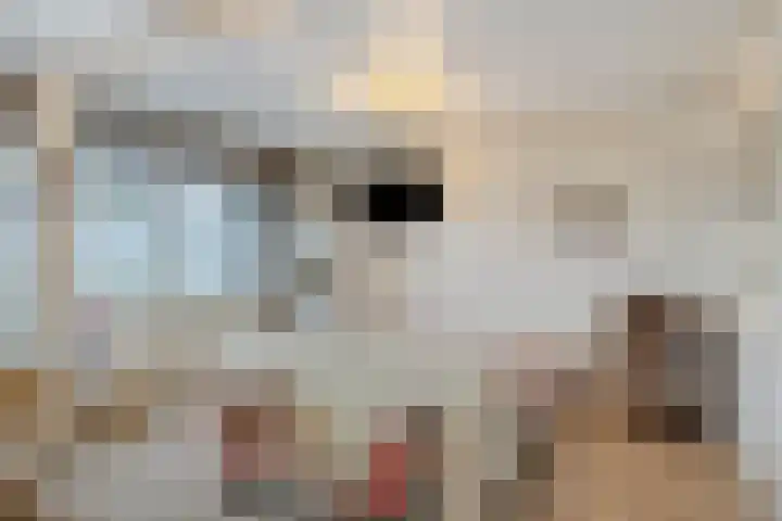 Midachten 15 Epe thumbnail 22