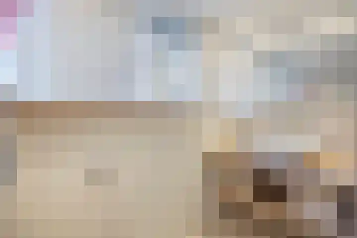 Midachten 15 Epe thumbnail 24
