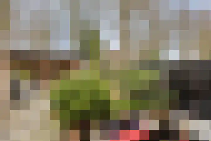 Midachten 15 Epe thumbnail 28