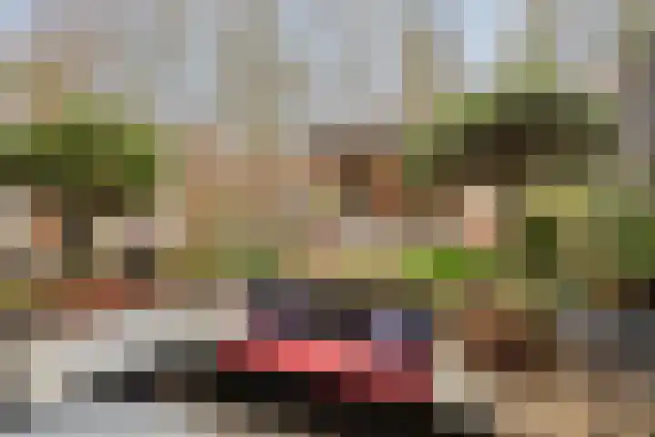 Midachten 15 Epe thumbnail 29