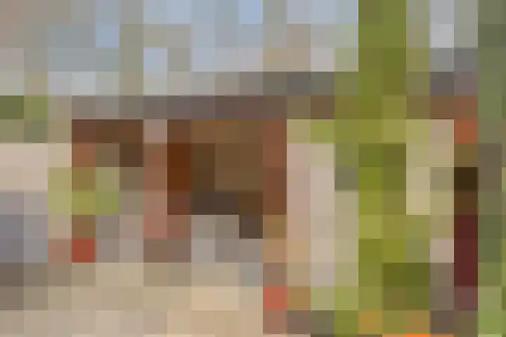 Midachten 15 Epe thumbnail 31