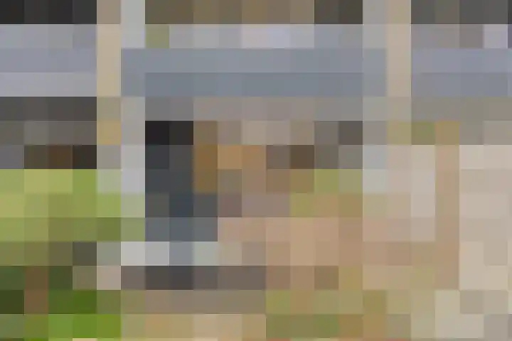 Midachten 15 Epe thumbnail 32