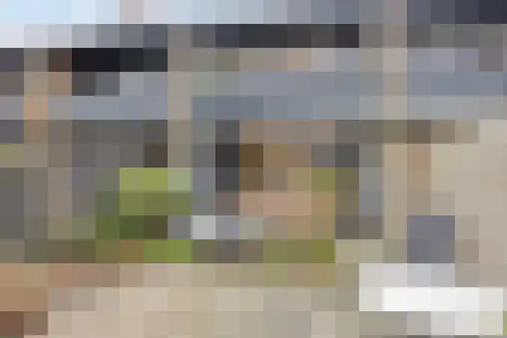 Midachten 15 Epe thumbnail 34