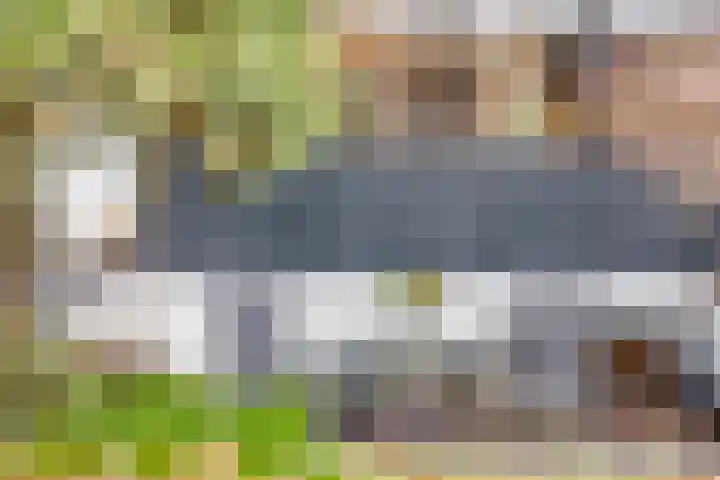 Midachten 15 Epe thumbnail 36