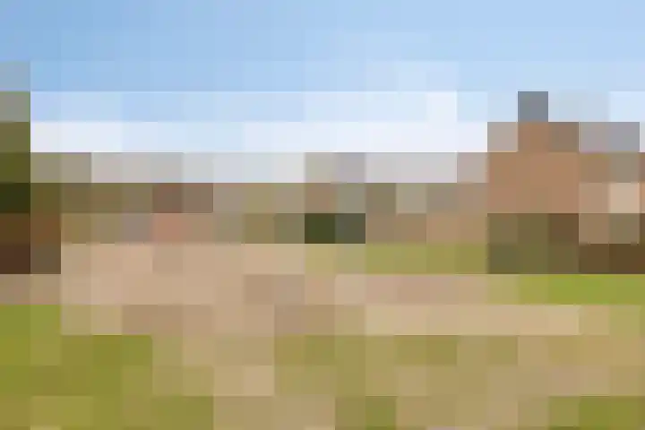 Midachten 15 Epe thumbnail 40