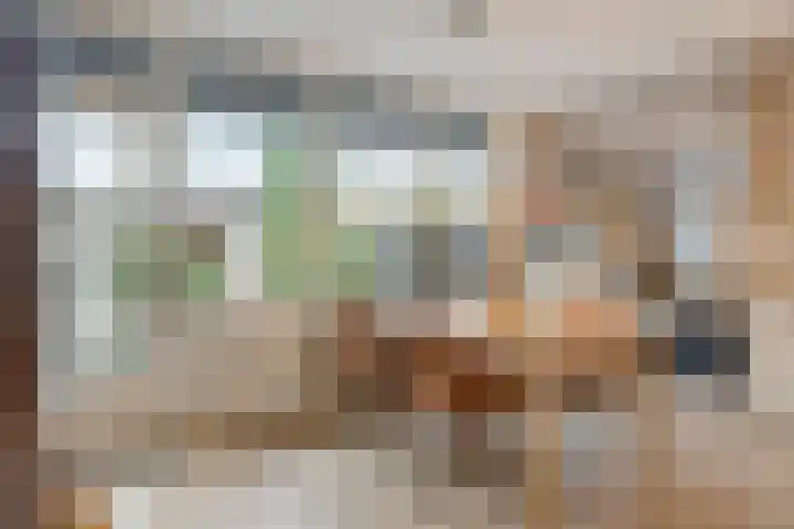 Midachten 15 Epe thumbnail 8