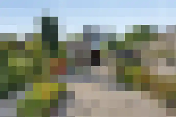 Midakker 11 Bergeijk thumbnail 17