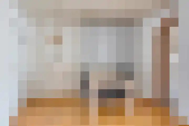 Midakker 11 Bergeijk thumbnail 7
