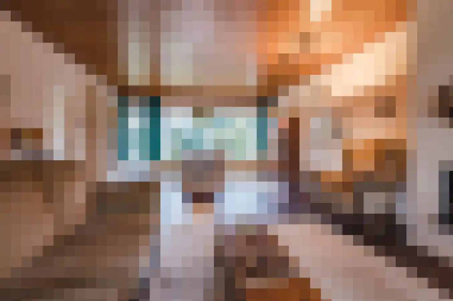 Midakkers 17 Eersel thumbnail 18