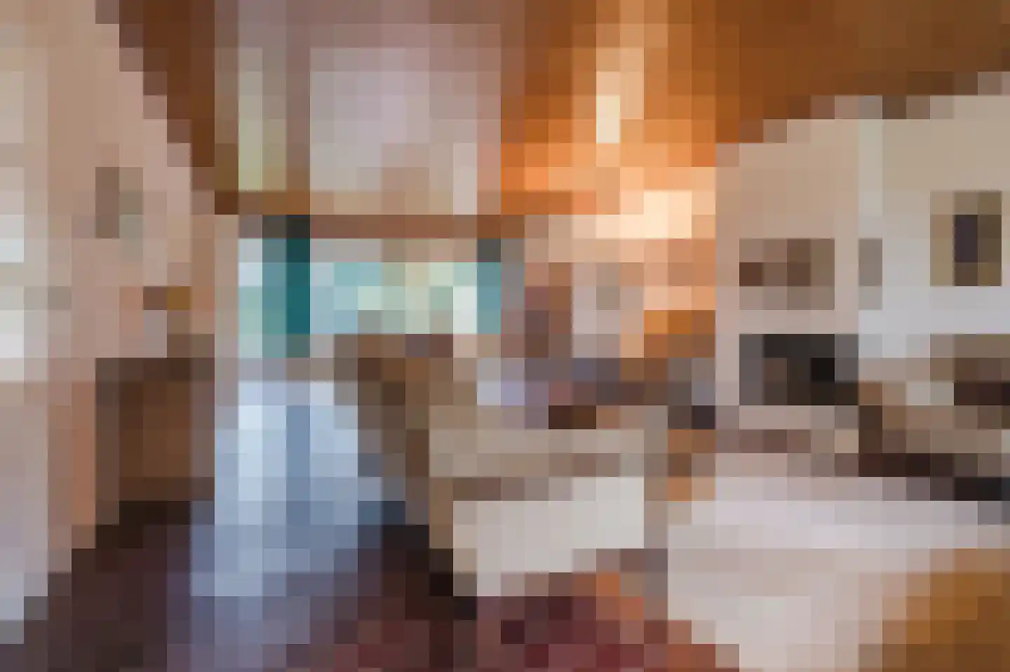 Midakkers 17 Eersel thumbnail 19