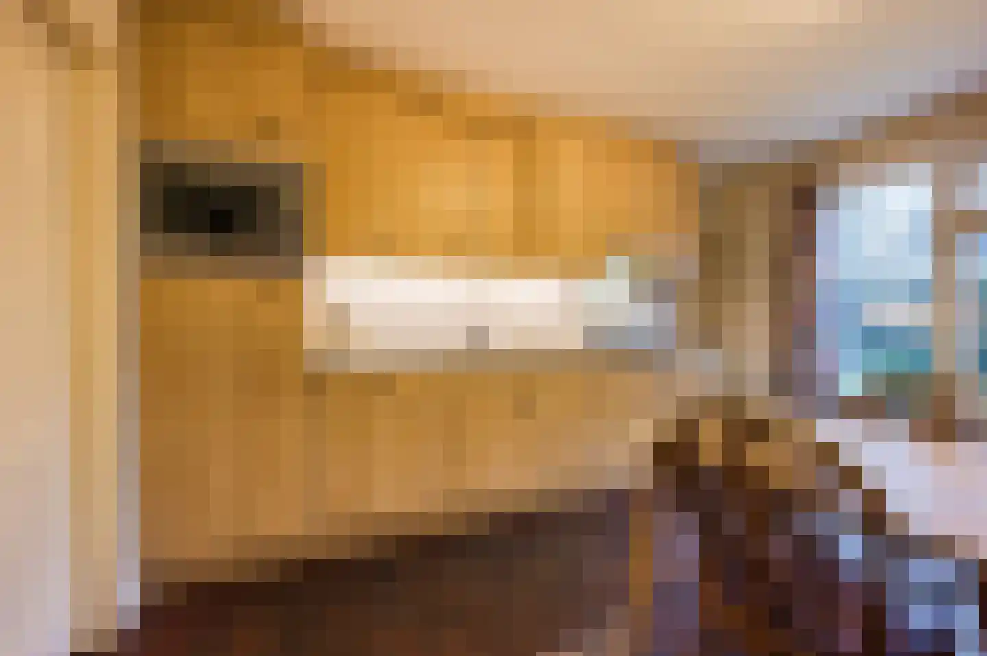 Midakkers 17 Eersel thumbnail 27