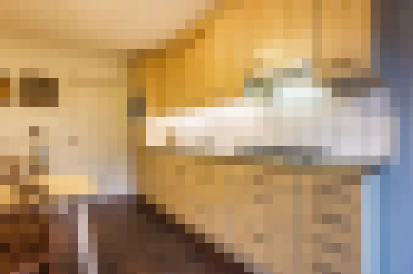 Midakkers 17 Eersel thumbnail 29