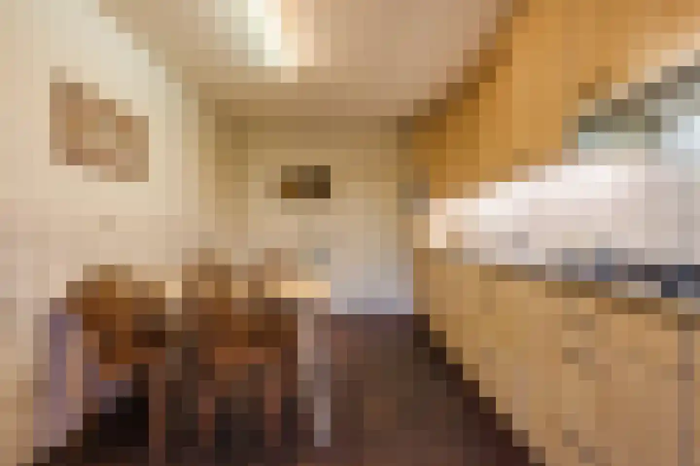 Midakkers 17 Eersel thumbnail 30