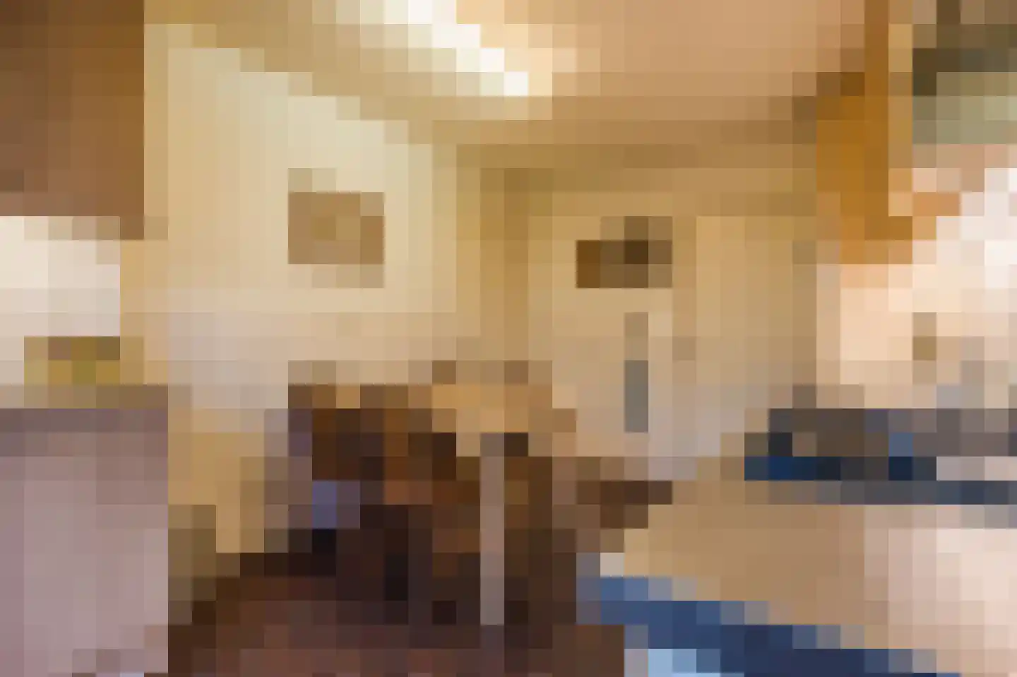 Midakkers 17 Eersel thumbnail 31