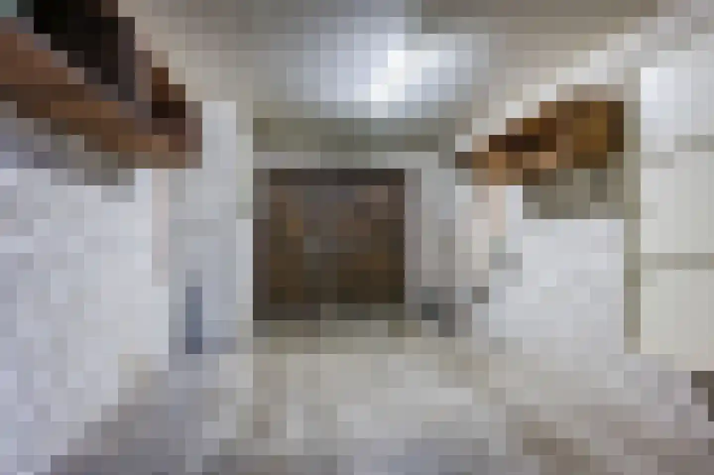 Midakkers 17 Eersel thumbnail 40
