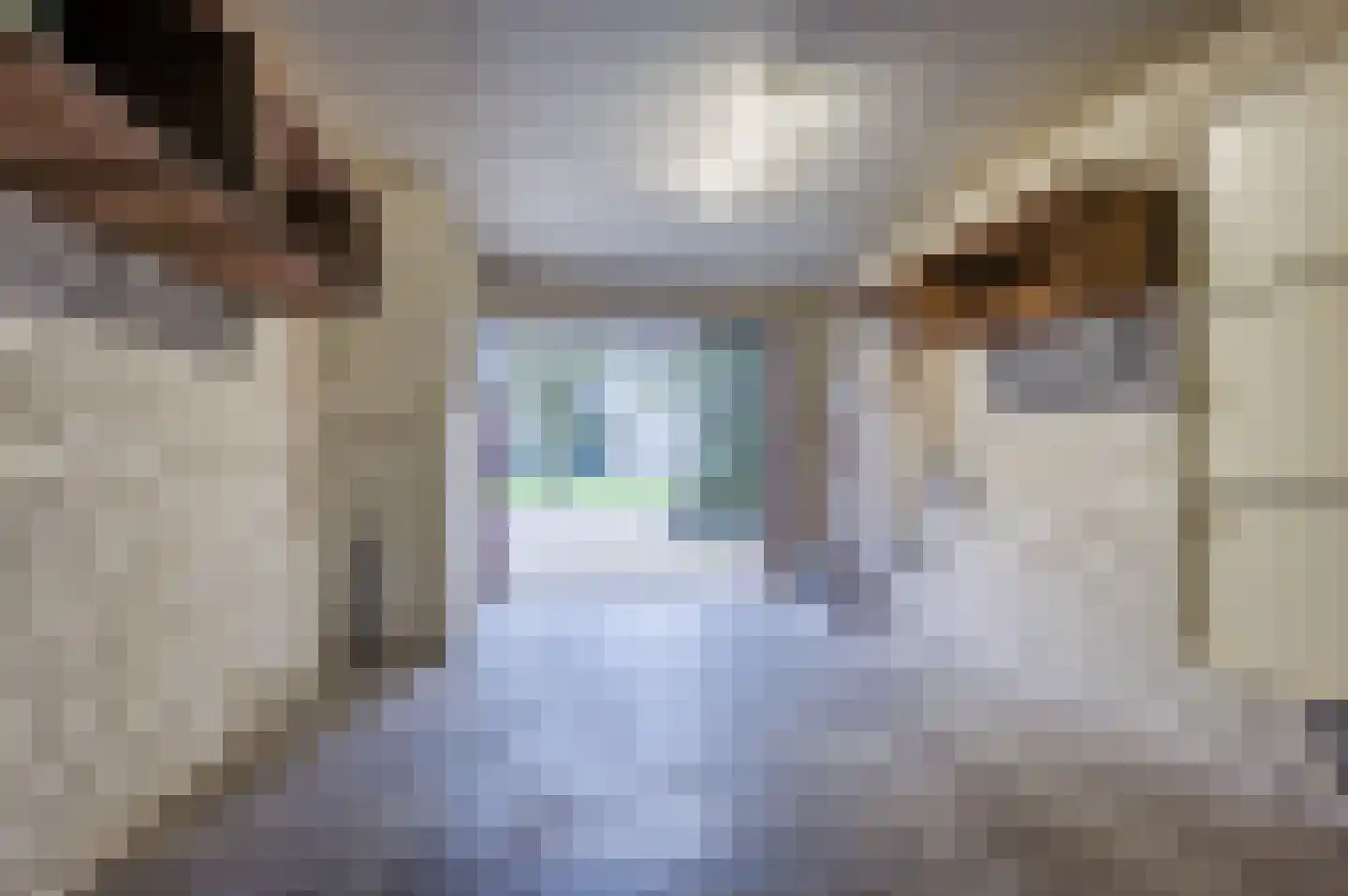Midakkers 17 Eersel thumbnail 41