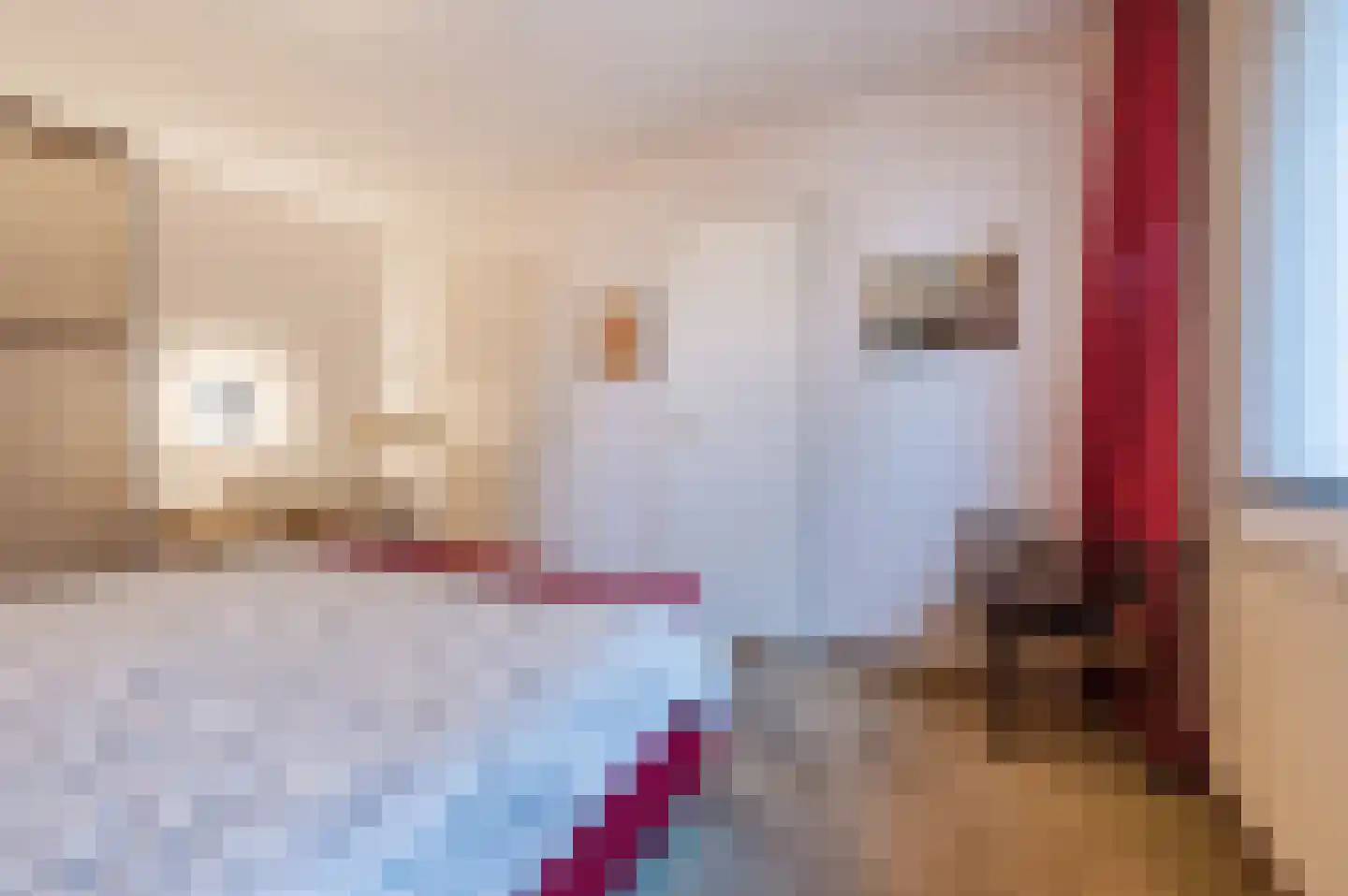 Midakkers 17 Eersel thumbnail 48