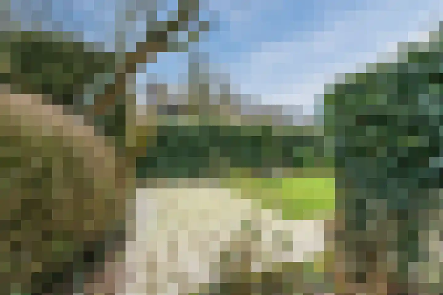 Midakkers 17 Eersel thumbnail 86