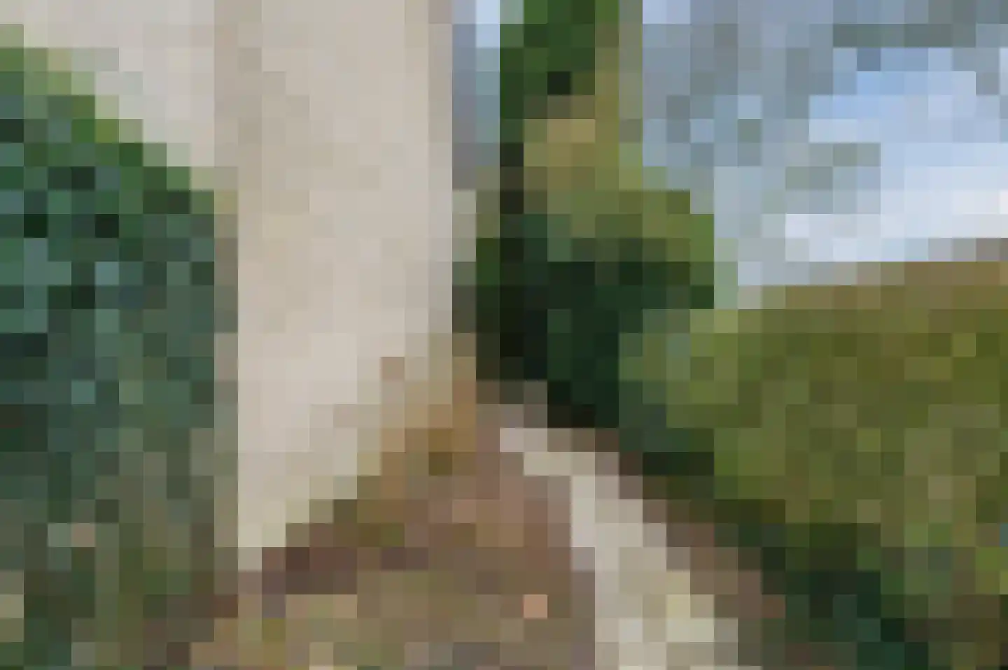 Midakkers 17 Eersel thumbnail 87