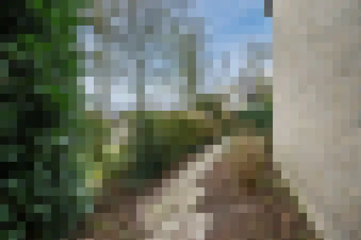 Midakkers 17 Eersel thumbnail 88
