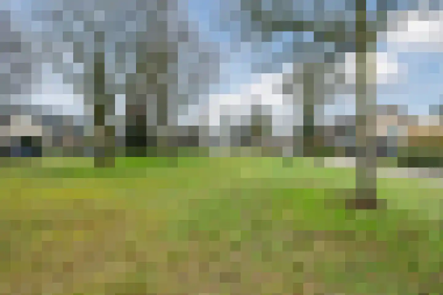 Midakkers 17 Eersel thumbnail 95
