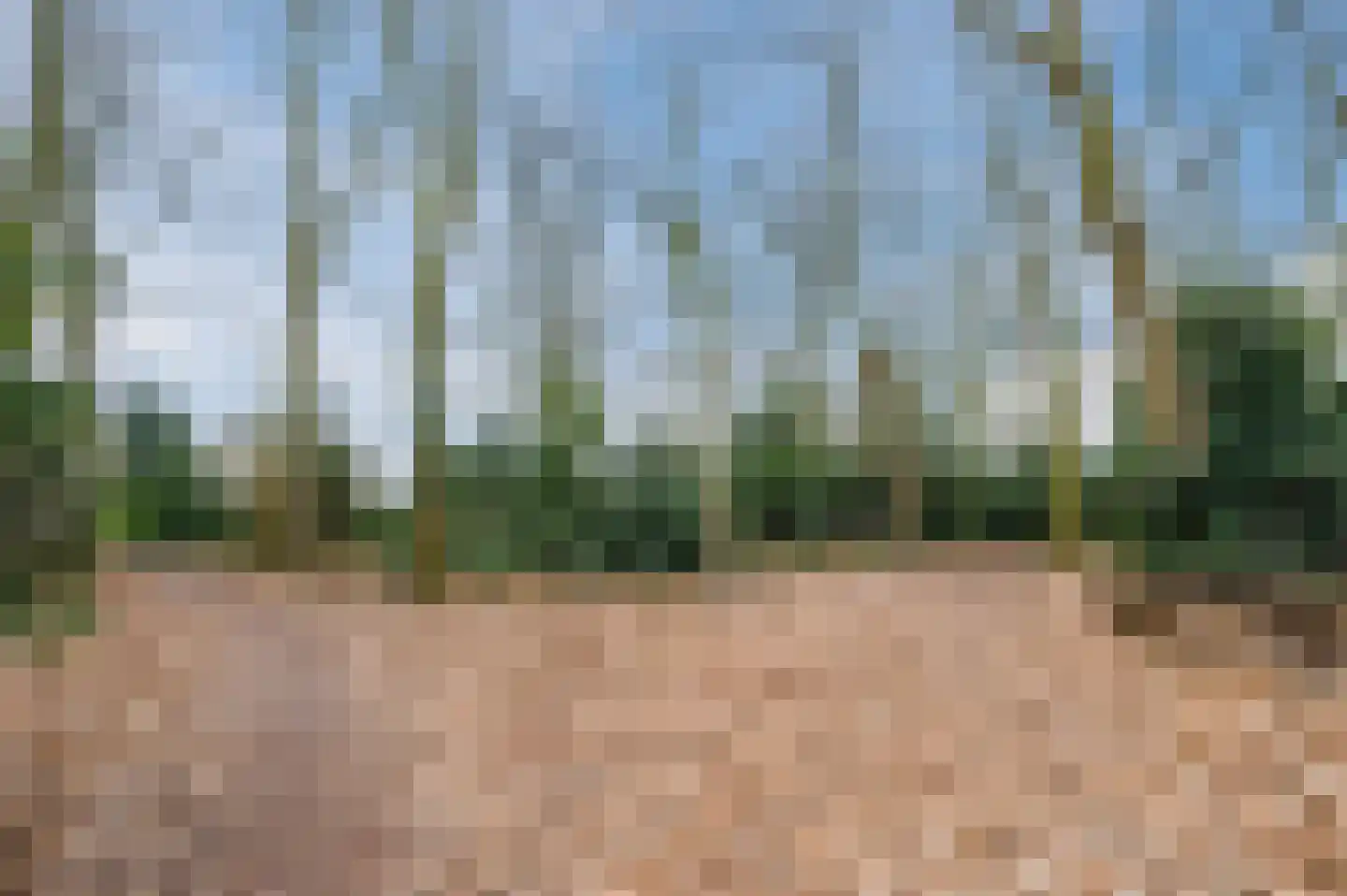 Midakkers 17 Eersel thumbnail 97