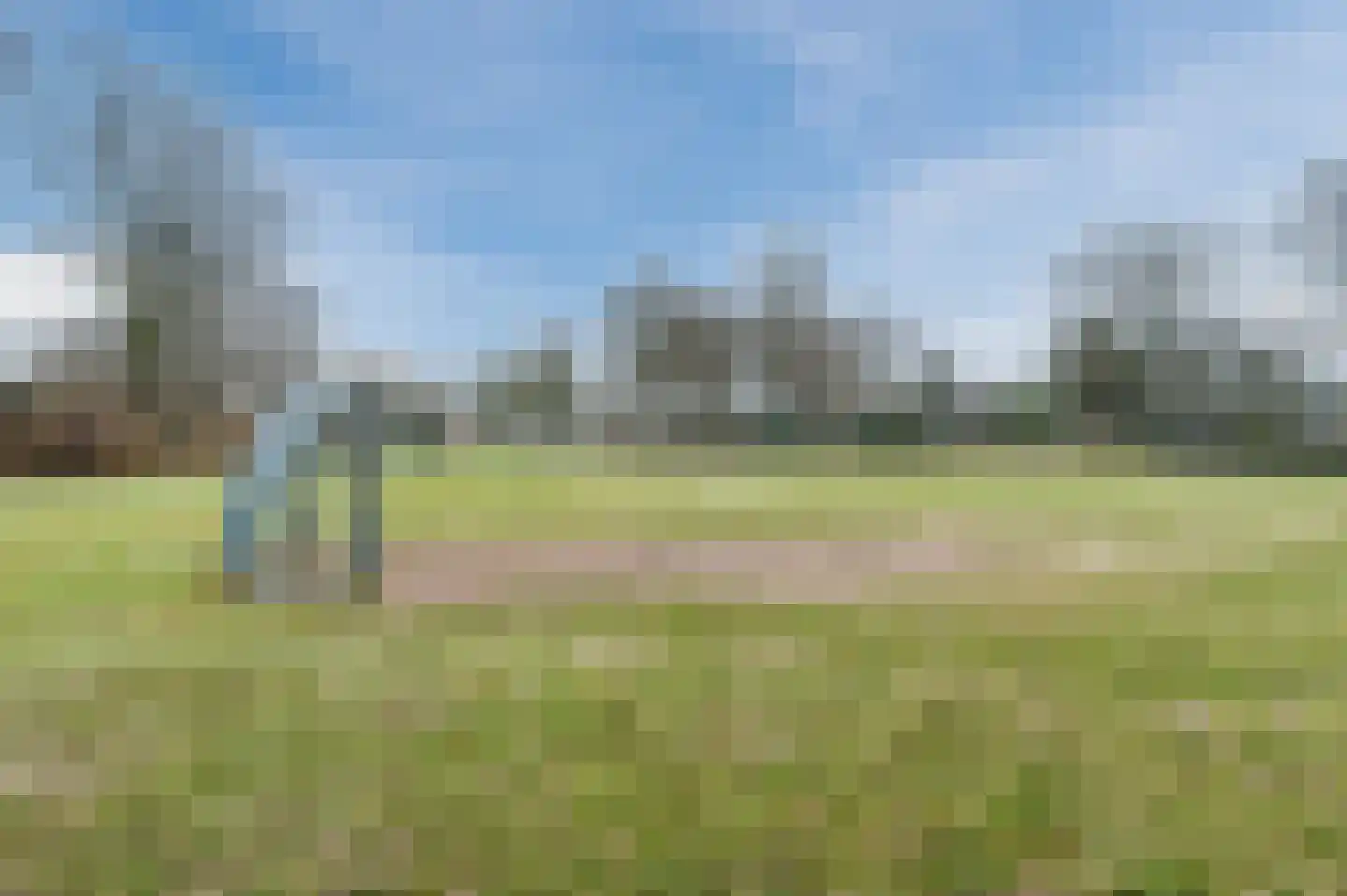 Midakkers 17 Eersel thumbnail 98