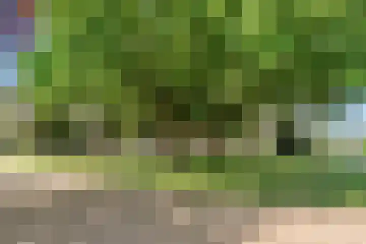 Midakkers 19 Eersel thumbnail 37