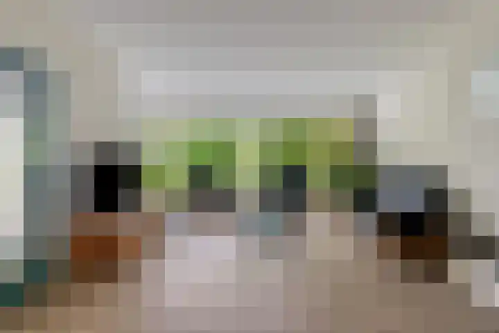 Midakkers 7 Eersel thumbnail 11