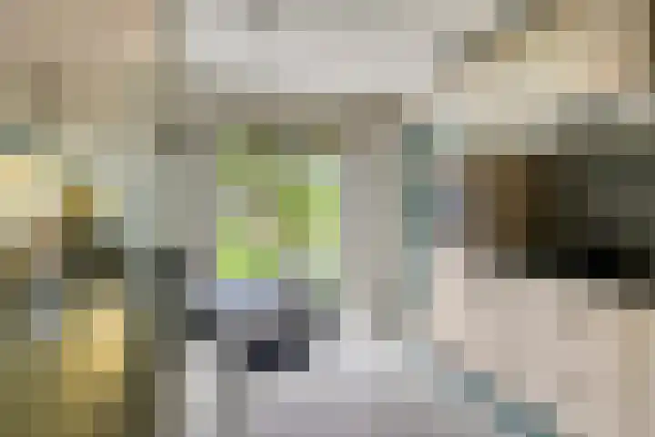 Midakkers 7 Eersel thumbnail 18