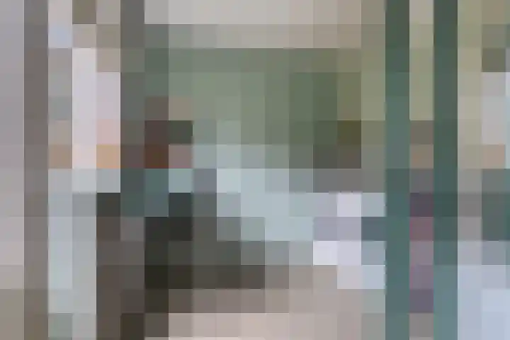 Midakkers 7 Eersel thumbnail 20
