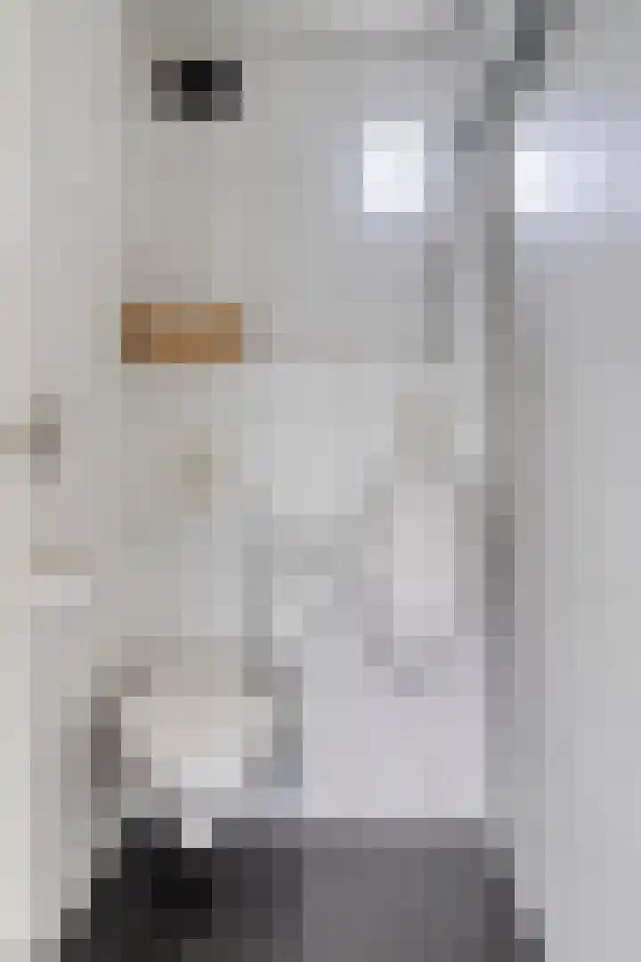 Midakkers 7 Eersel thumbnail 24