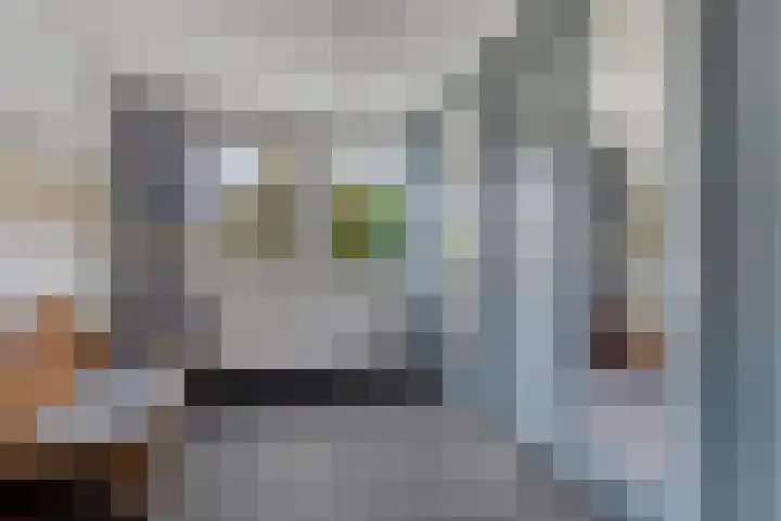 Midakkers 7 Eersel thumbnail 29