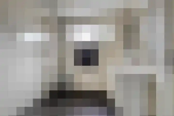 Midakkers 7 Eersel thumbnail 30