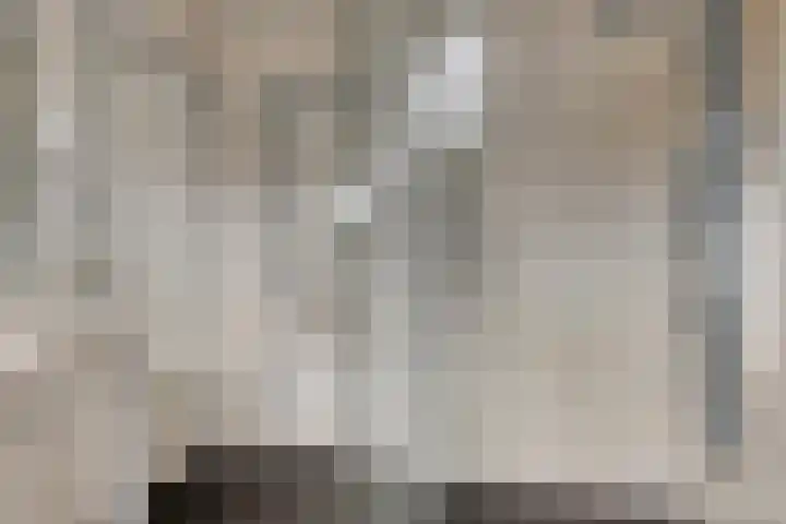Midakkers 7 Eersel thumbnail 31