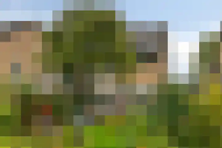 Midakkers 7 Eersel thumbnail 36